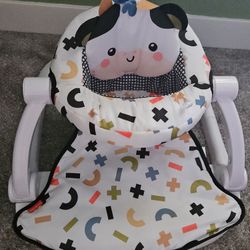 Fisher-Price Portable Baby Chair