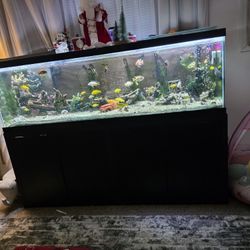 Complete Fish Tank