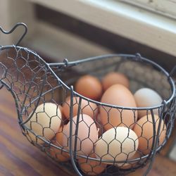 Fresh Eggs
