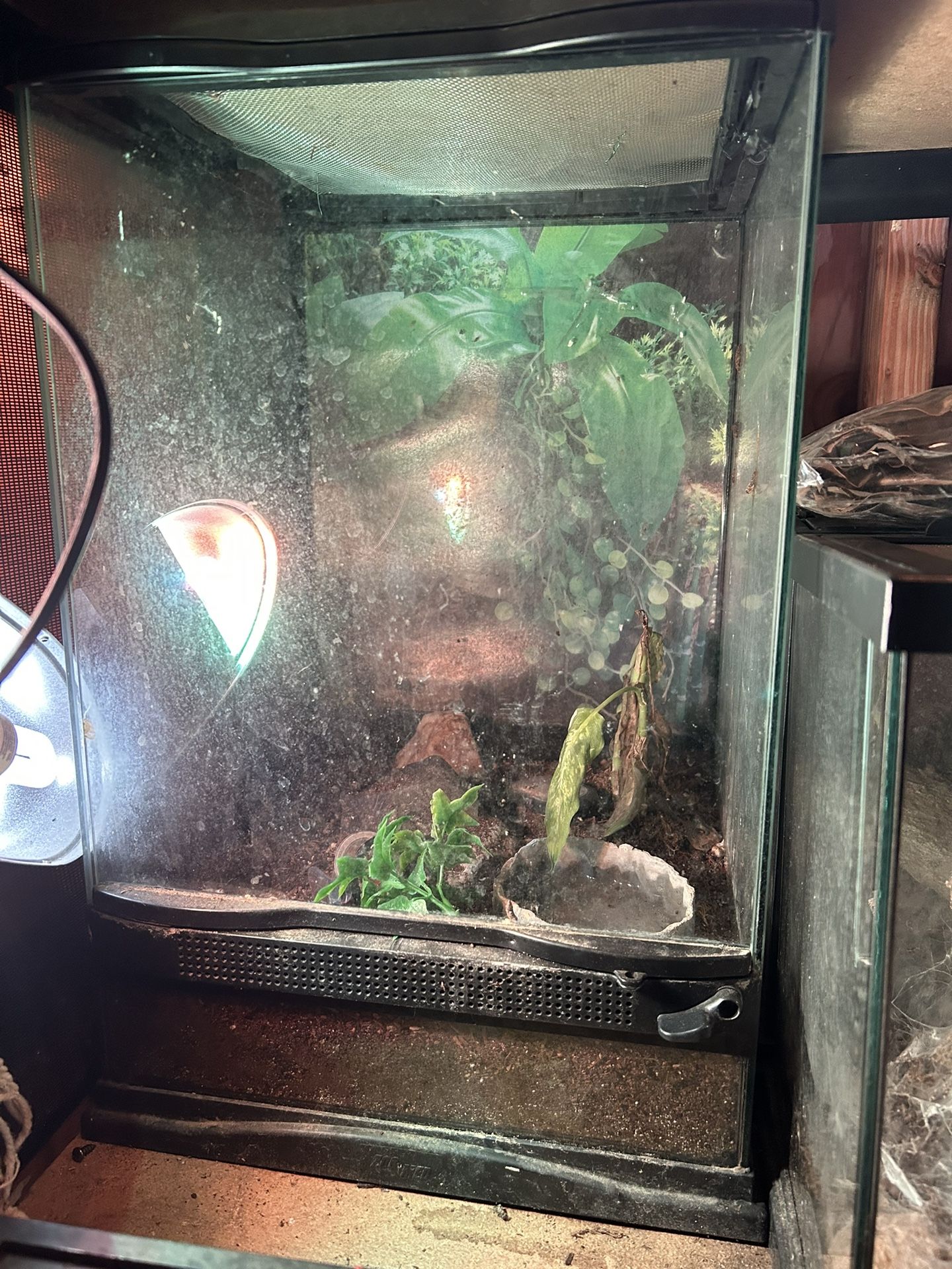 Terrariums