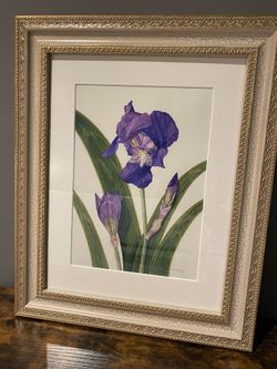Painting Iris 