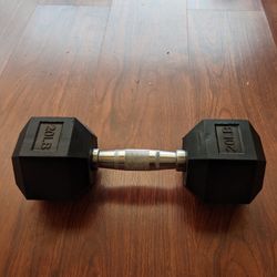 BRAND NEW WEIGHTS