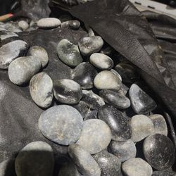 Mexican Black Rock