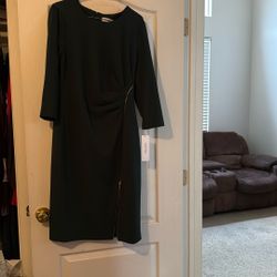 Calvin  Klein Women’s Dresses 