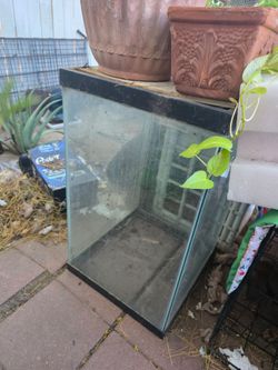 Fish tanks