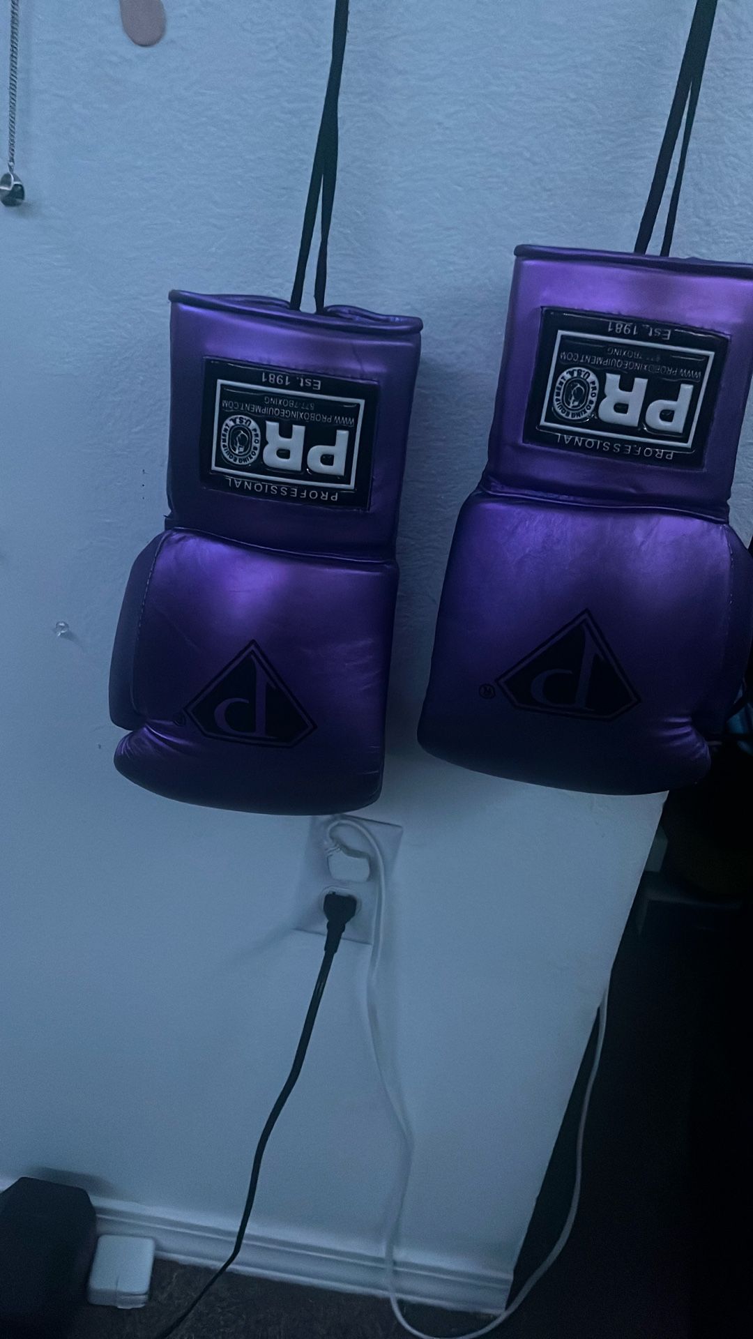 Boxing Gloves