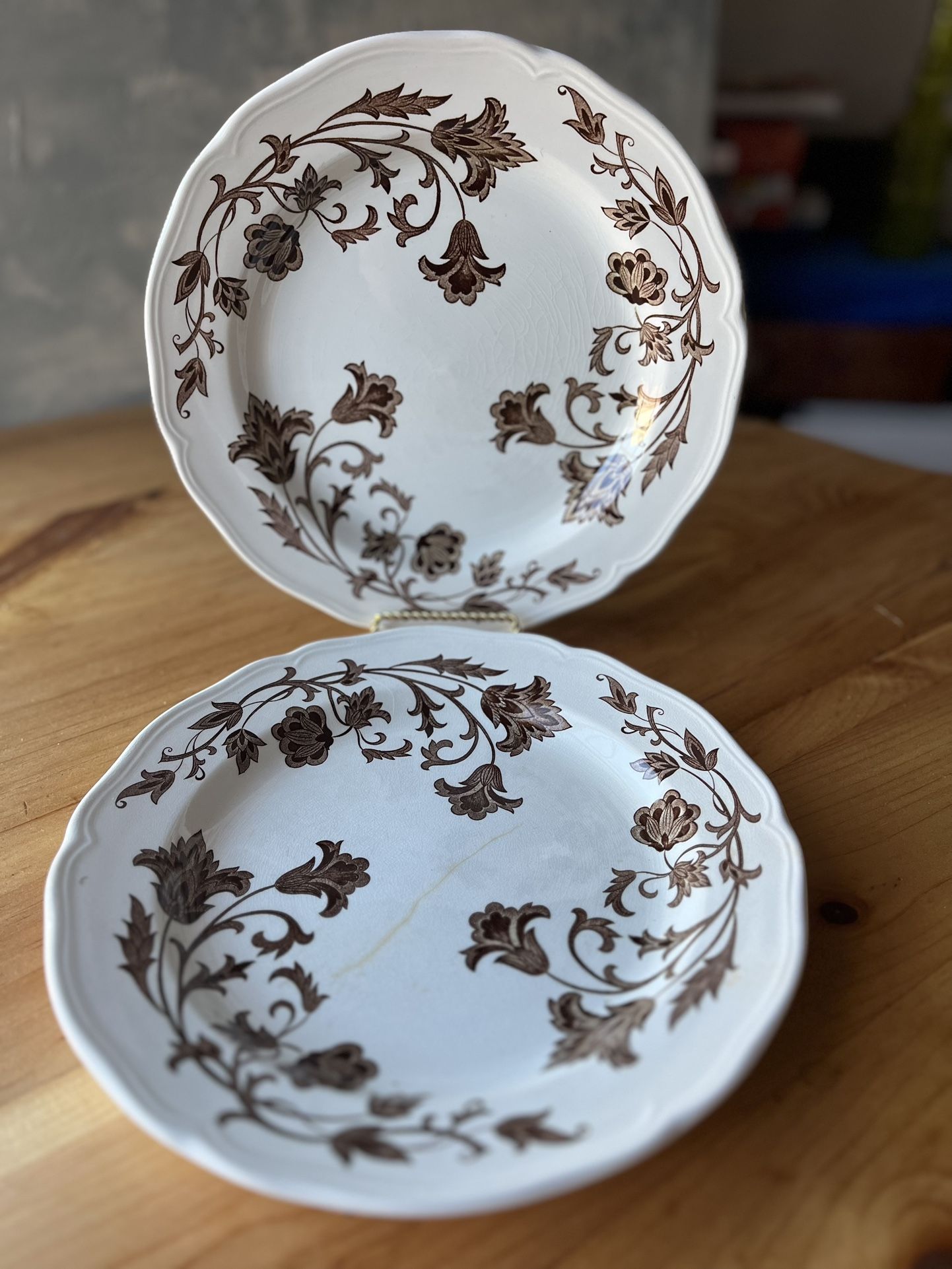 Two Staffordshire Transferware Plates