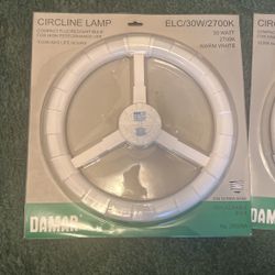 Fluorescent Light Bulb