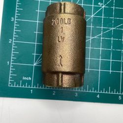 1-inch brass inline check valve 