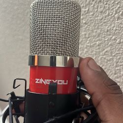 Zing You Microphone & Fast Track Ultra Interface (MAKE OFFER)
