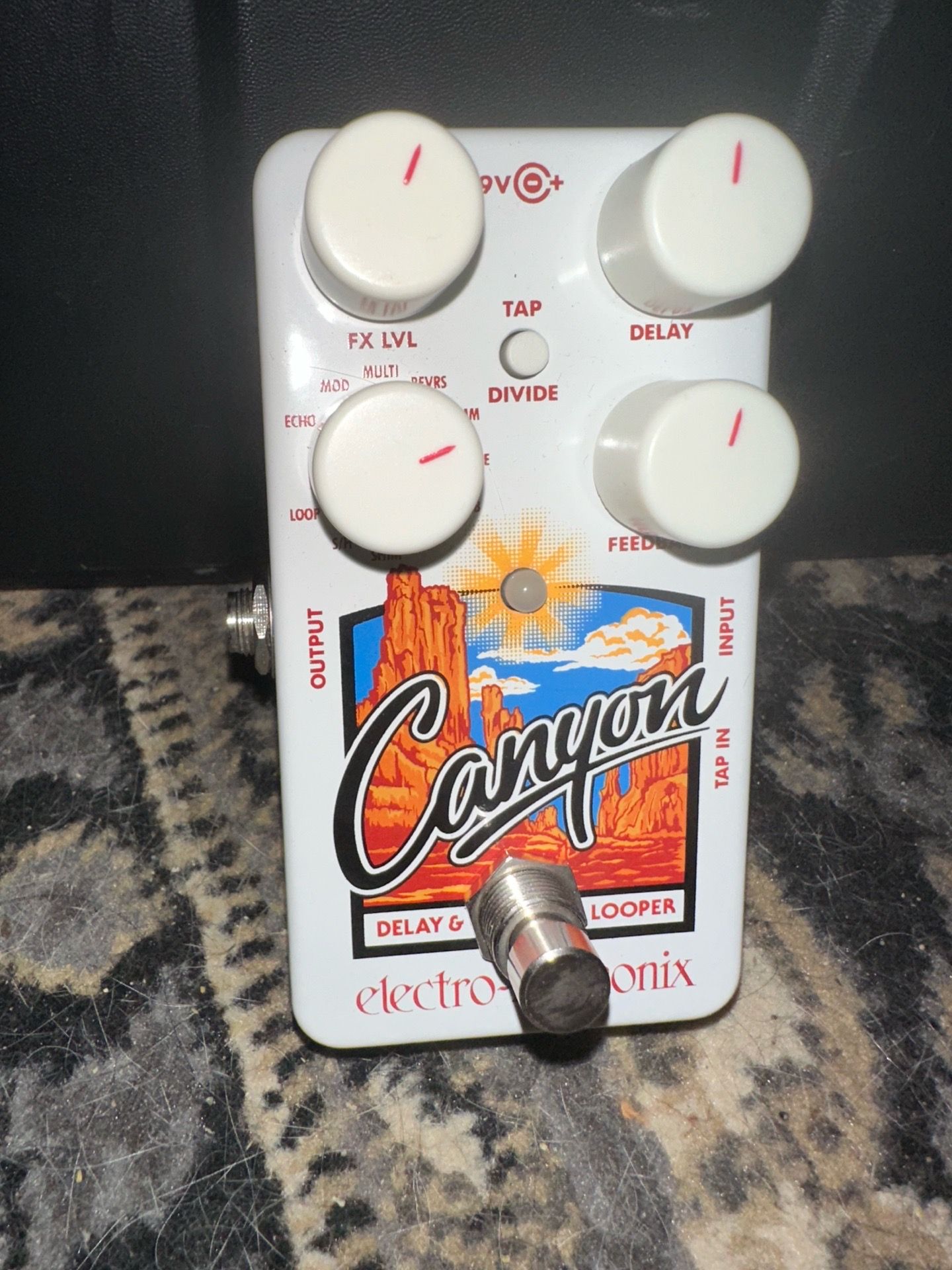 Electro Harmonix Canyon Reverb