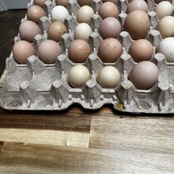 Andrometer Farm’s  Fresh Eggs