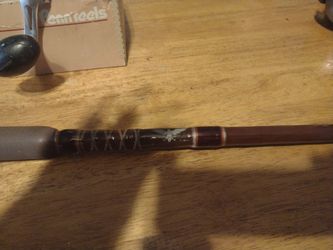 Fenwick Rod With Roller Guide Tip