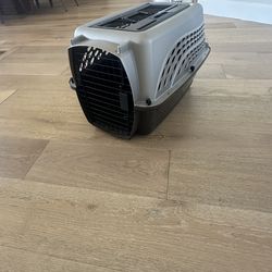 Best Small Animal Carrier Ever! Cat or small Dog