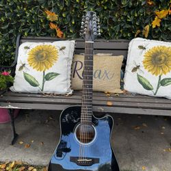 Takamine G30