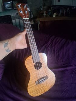 Kala Concert size Ukulele $70
