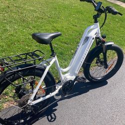 Biktrix Stunner X 6  e-bike  19 miles