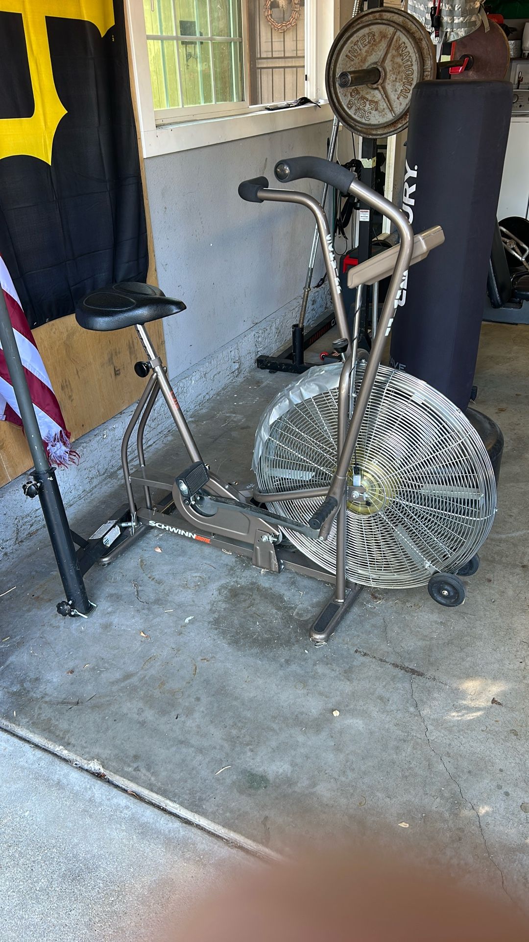 Schwinn Airdyne Fan Bike