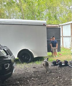6x10 cargo tool trailer