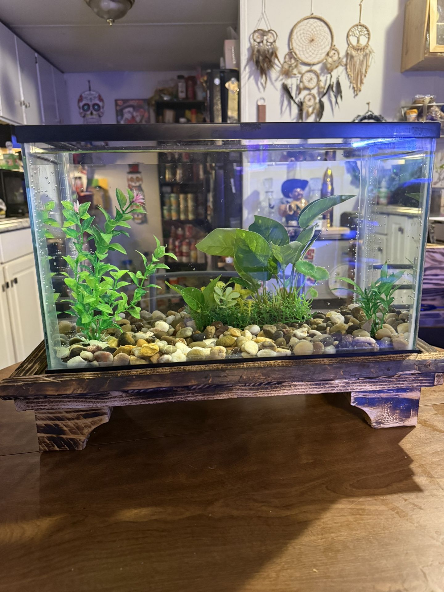 5.5 G Betta Tank And Custom Stand for Sale in Seneca, SC - OfferUp