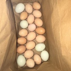 fresh farm eggs