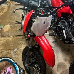 2020 RFZ Apollo 110cc