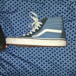 Vans Skate Sneakers 