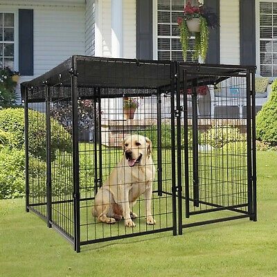 Dog Fence