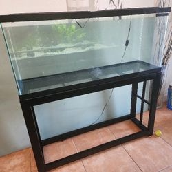 55 Galon Acuarium