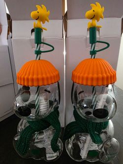 Snoopy x Starbucks Glass Cold Cup Limited Edition