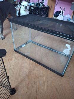 Glass Terrarium Tank with Mesh Lid