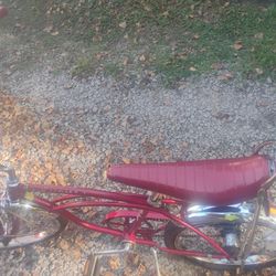 All Original Schwinn Stingray