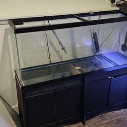 50 Gallon Fish Tank With Stand