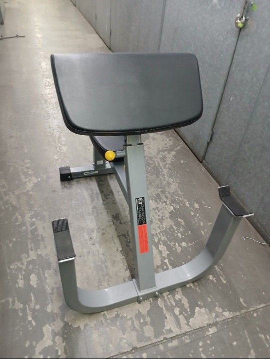 Preacher Curl Bench