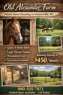Horse Boarding