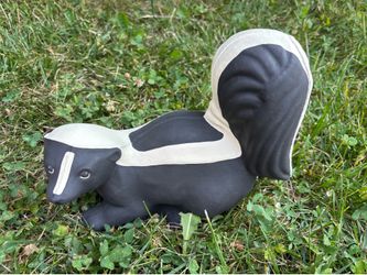 Concrete Skunk