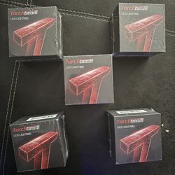 Torchbeam LED Lighting $50 Each 