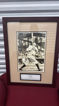 Babe Ruth the great bambino the legend