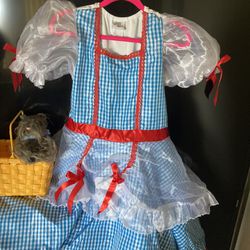  Dorothy Costume
