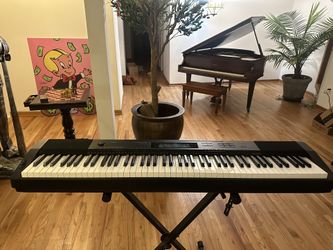 Casio 88 Key Weighted Digital Piano - Key Board 