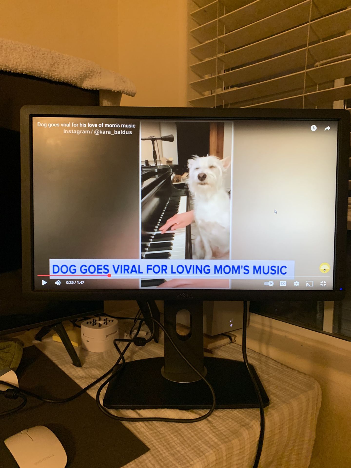 Dell OGFXN4 23" LCD Flat Panel Monitor & Keyboard