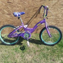 Bicycle Schwim Deelite