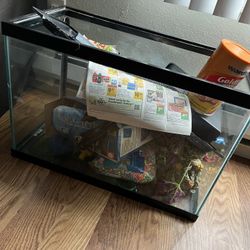 Fish Tank + Supplies 