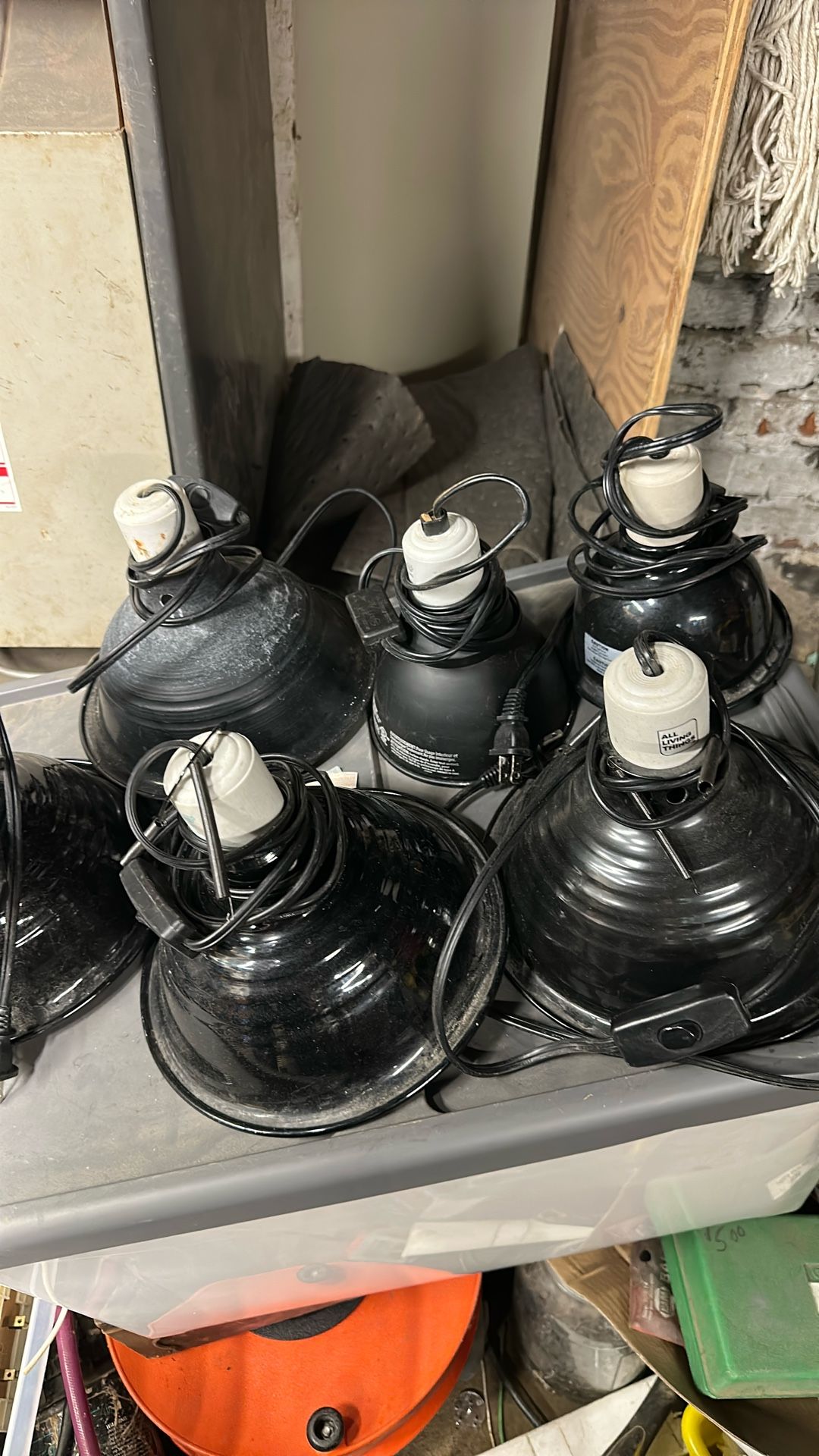 Reptile Lights Or Small Pets Lights
