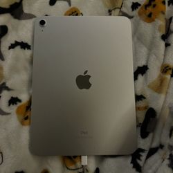 iPad 10th Gen