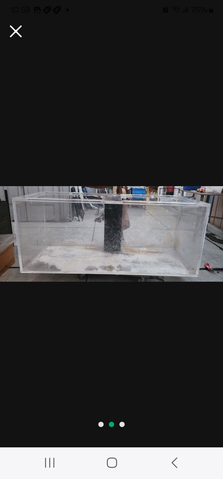Fish Tank