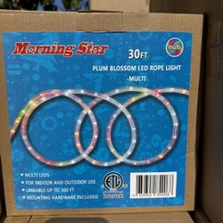 Christmas Led Rope Light 