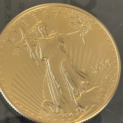 American Gold 1 Oz Eagle Coin