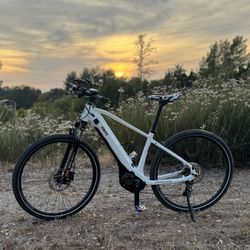Yamaha crosscore Rc Ebike