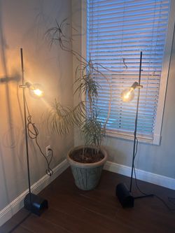 Set of floor lamps
